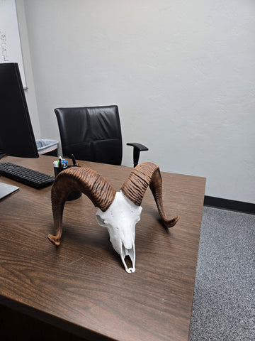 Desktop Ram