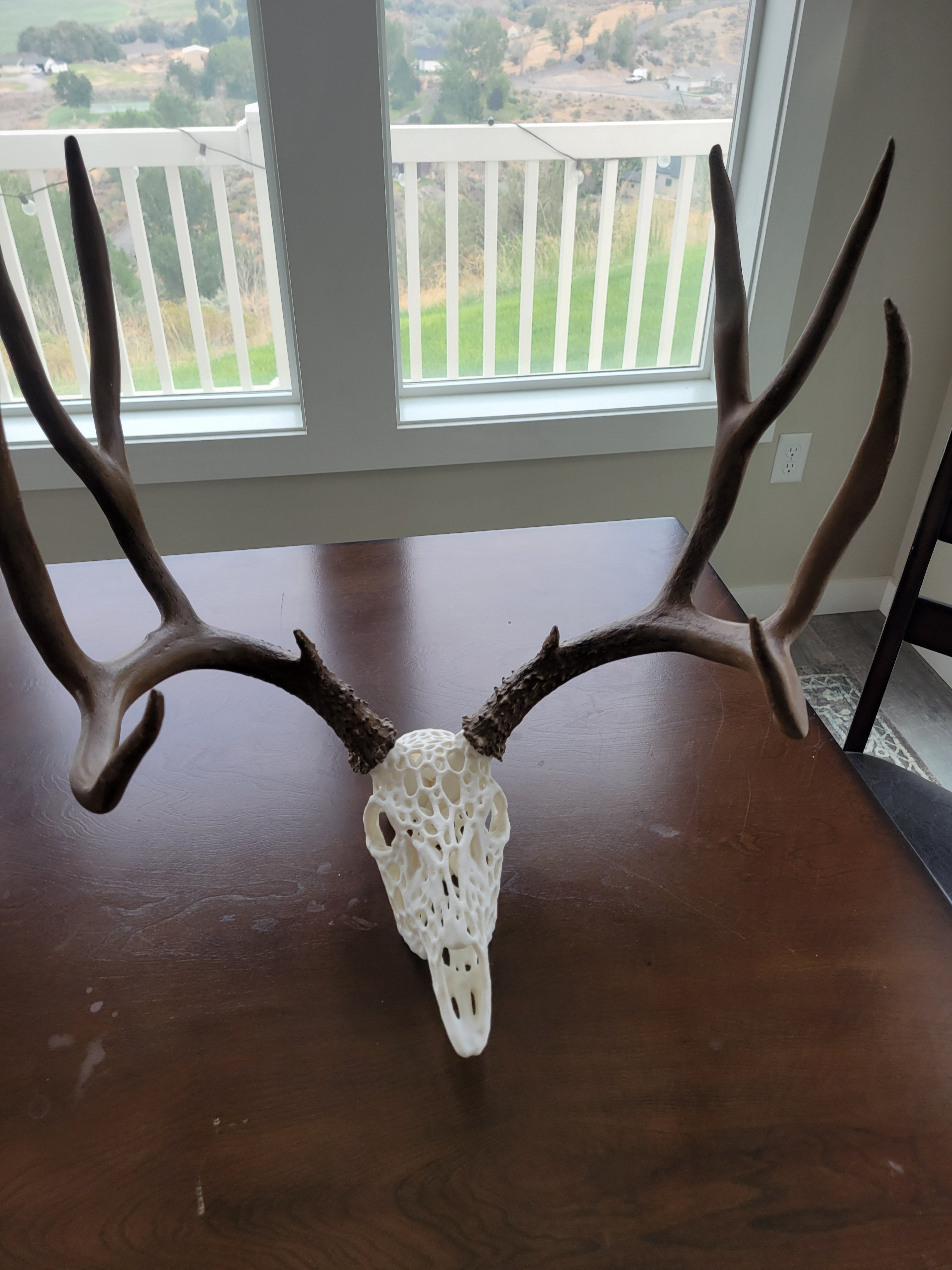 Full Webbed Deer