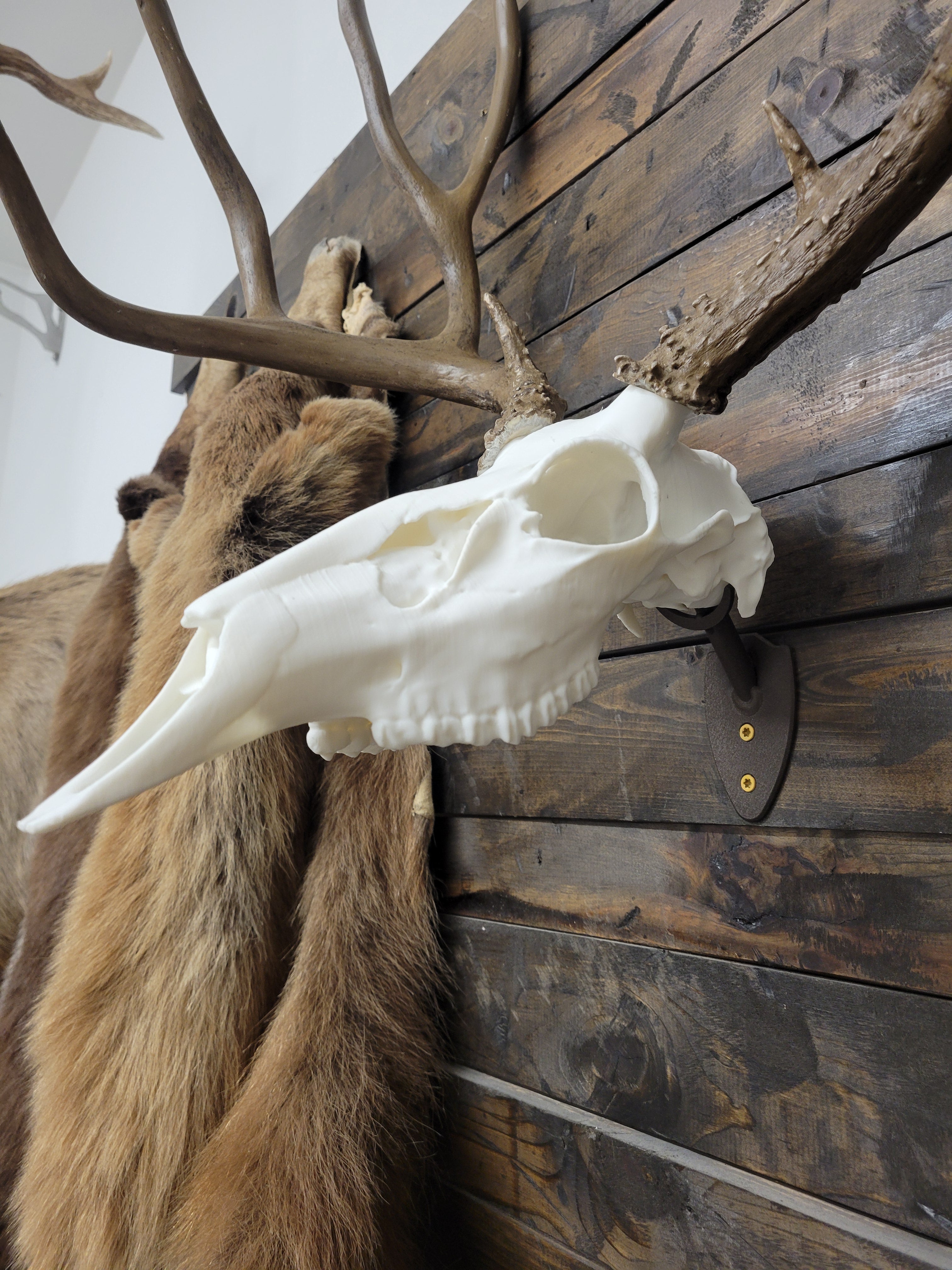 Full Natural Deer